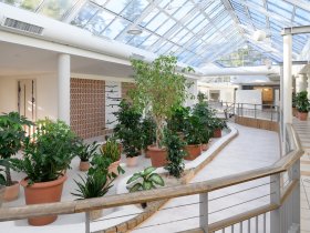 Strandgeflüster auf Rügen - 2 Tage in Binz