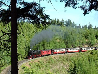  kleine Auszeit, den Harz und den Brocken genießen - 3 Tage inkl. Halbpension