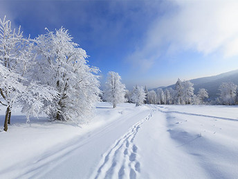  kleine Auszeit, den Harz und den Brocken genießen - 3 Tage inkl. Halbpension