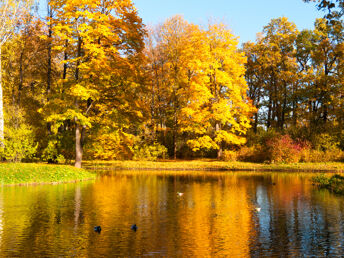 Goldener Herbst im Braunschweiger Land | 2 Tage