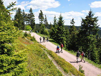 Wandern,Biken und Relaxen im Thüringer Wald