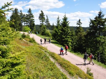 3 exklusive Schnuppertage im Thüringer Wald