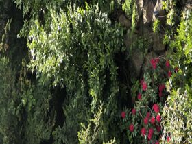 Verwöhn-Tage in Willingen im Sauerland  mit HP & Wellness | 3 Tage