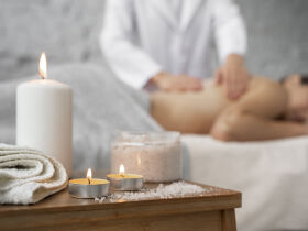 Die Wipfel der Bäume im Harz erkunden