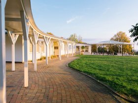 Die Wipfel der Bäume im Harz erkunden