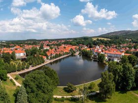 Die Wipfel der Bäume im Harz erkunden