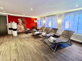 Die Wipfel der Bäume im Harz erkunden