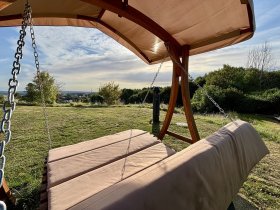 Die Wipfel der Bäume im Harz erkunden