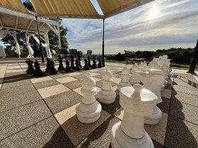 Die Wipfel der Bäume im Harz erkunden