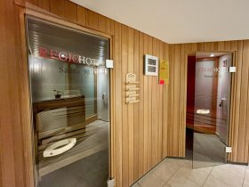 Die Wipfel der Bäume im Harz erkunden