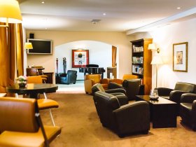 Die Wipfel der Bäume im Harz erkunden