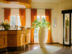 Die Wipfel der Bäume im Harz erkunden