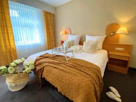 Die Wipfel der Bäume im Harz erkunden