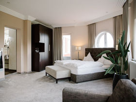 Die Wipfel der Bäume im Harz erkunden