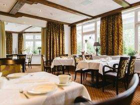 Die Wipfel der Bäume im Harz erkunden