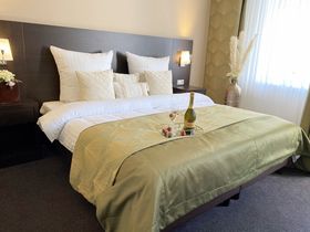 Die Wipfel der Bäume im Harz erkunden