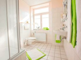 Die Wipfel der Bäume im Harz erkunden