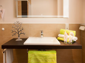 Die Wipfel der Bäume im Harz erkunden