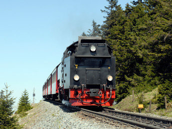 3 Kuscheltage in Ilsenburg