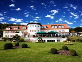 Die Wipfel der Bäume im Harz erkunden