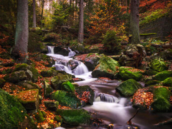 Kurze Harz-Auszeit im Ilsetal