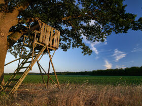  Wellness erleben - Entspannen mitten in der Natur