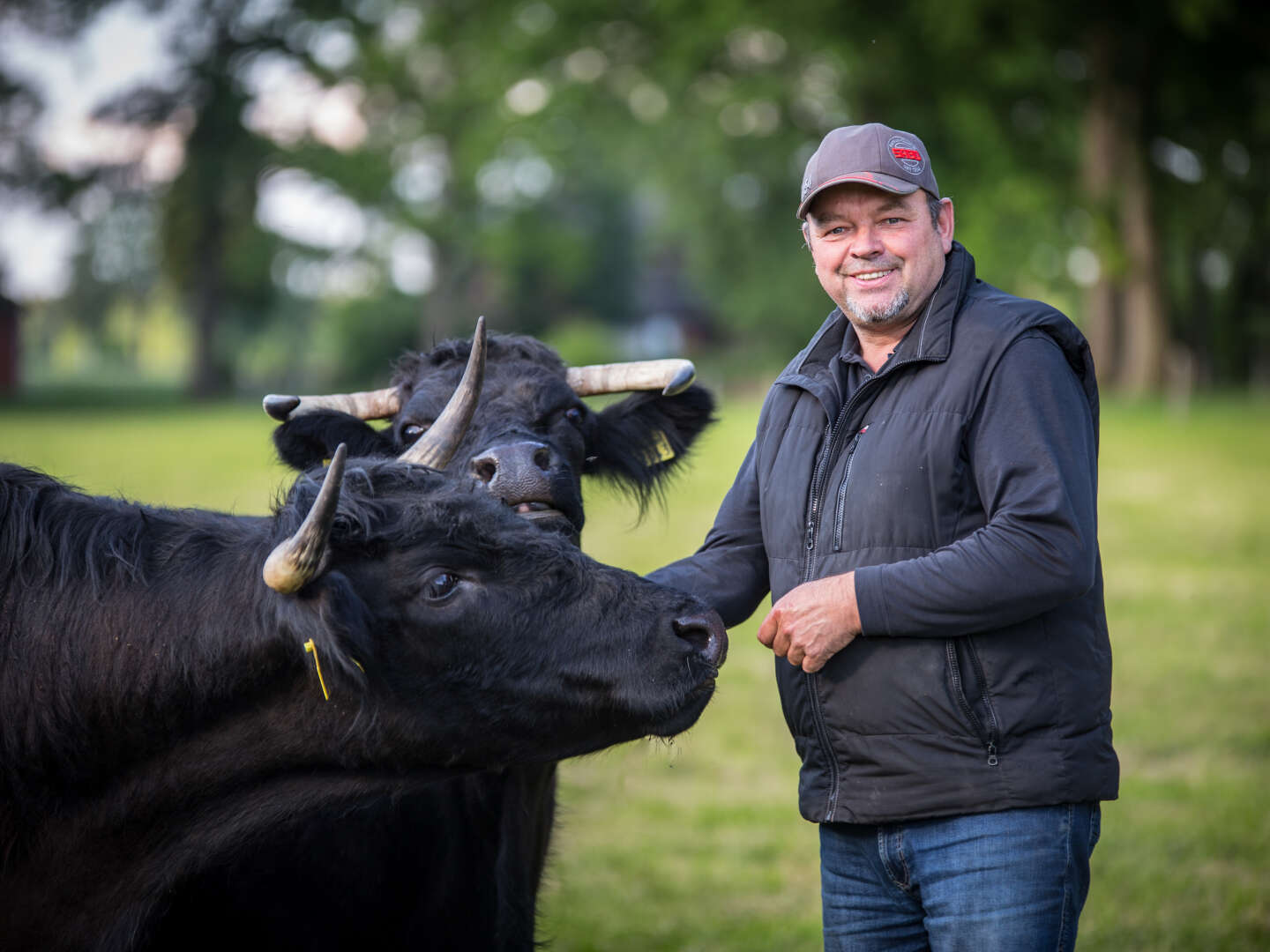 Genießer- Auszeit im Grünen in der Lüneburger Heide inkl. Abendessen