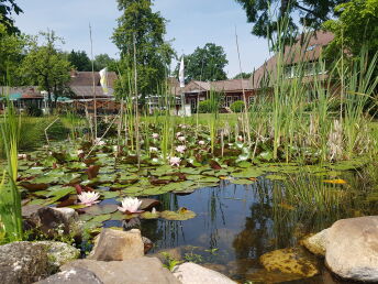 Genießer- Auszeit im Grünen- 2 Tage in der Lüneburger Heide 