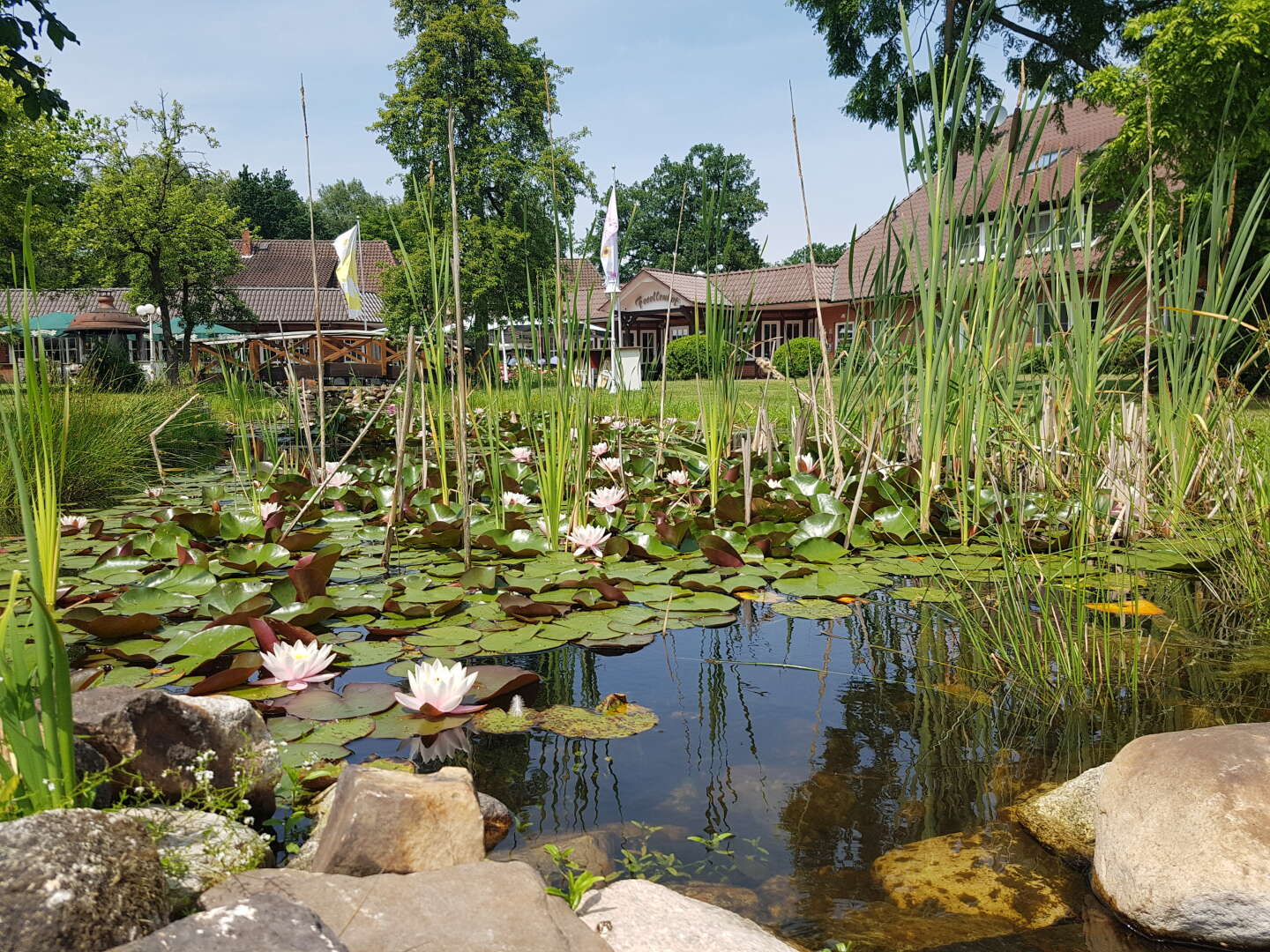 Genießer- Auszeit im Grünen- 8 Tage in der Lüneburger Heide       