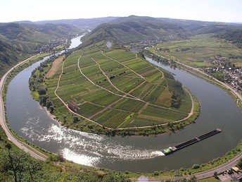 Zauberhafte Wochentage an der Mosel inkl. Halbpension