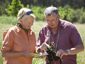 Kurzurlaub - den gönn ich mir an der Müritz I 3 Tage