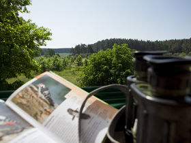 Kurzurlaub - den gönn ich mir an der Müritz I 3 Tage