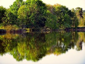 Kurzurlaub - den gönn ich mir an der Müritz I 3 Tage