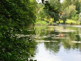 Kurzurlaub - den gönn ich mir an der Müritz I 3 Tage