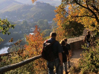 5 Wohlfühltage inkl. Sektfrühstück in der Region Rhein - Hunsrück - Nahe