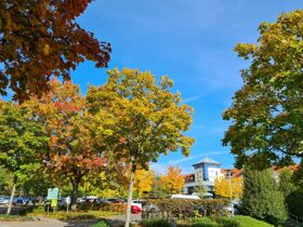 Herbst-Winter-Special im Saarland inkl. 3 Tage Vitalis Sauna- und Bäderzentrum