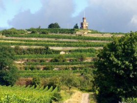 Wellness schnuppern in der Pfalz | 3 Tage inkl. HP und Wellnessanwendungen