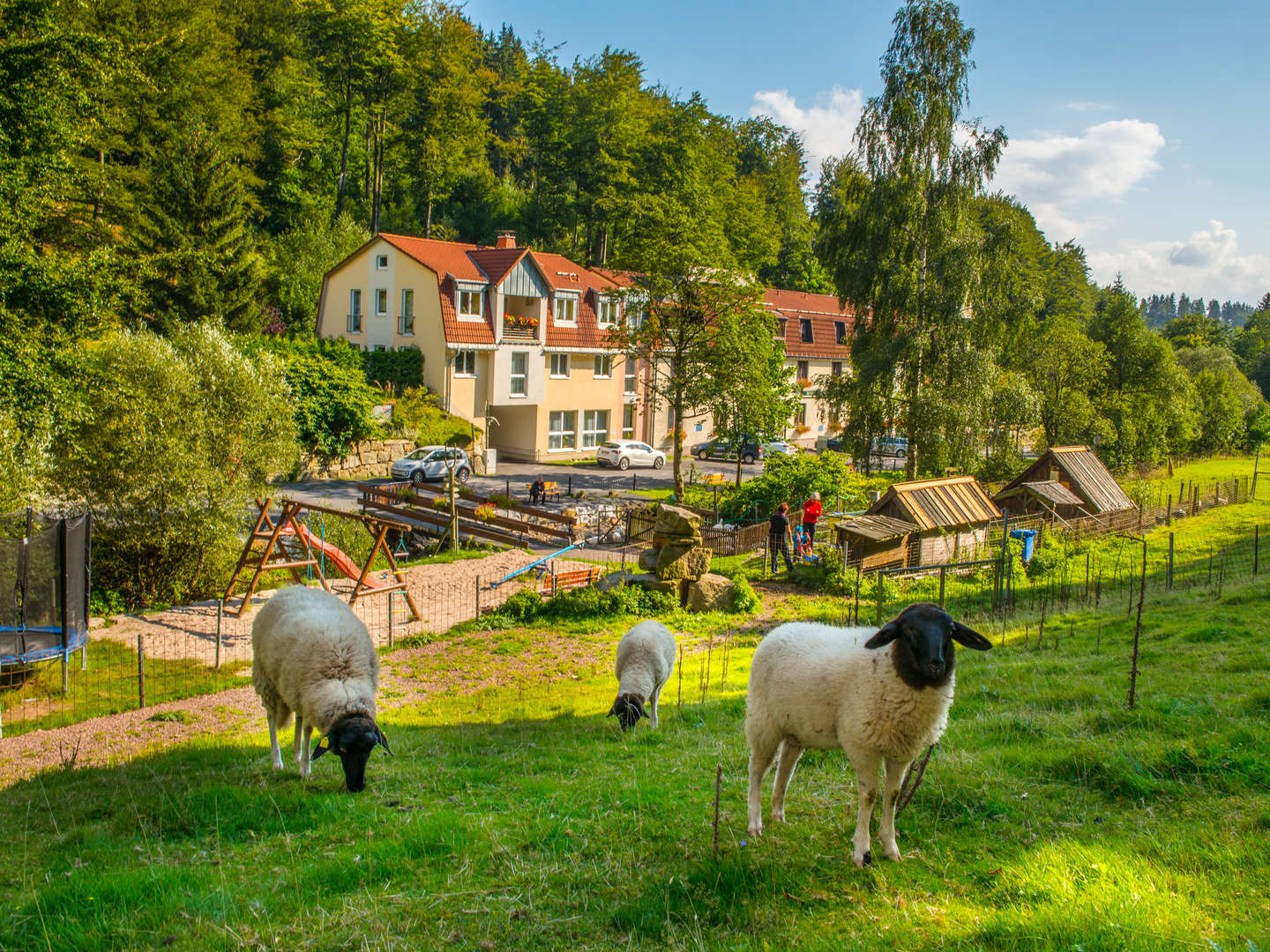 Kleine Auszeit in der Waldmühle - Schnuppertage