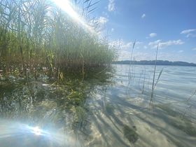Wintertage am Plauer See