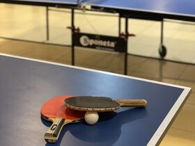 Fahrradurlaub am Plauer See inkl. Lunchpaket & Leihfahrrad 8 Tage