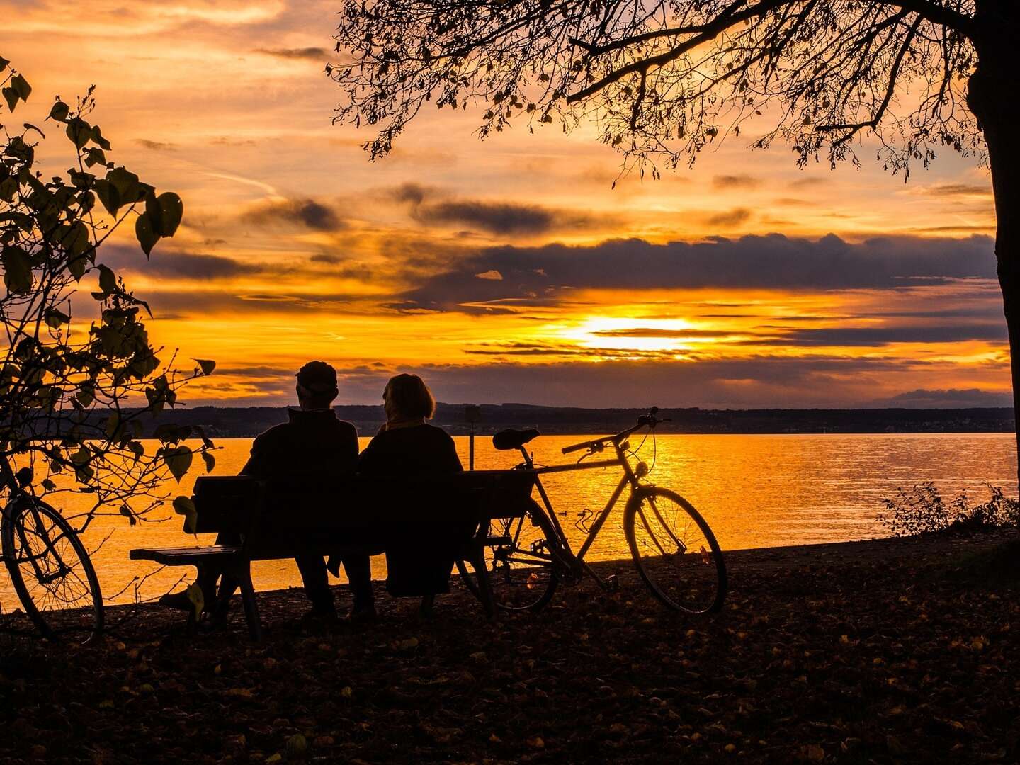 Wellness Auszeit am Plauer See inkl. Abendessen