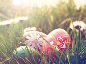 Oster- Kurzurlaub im Herzen der Natur | 3 Tage am Plauer See