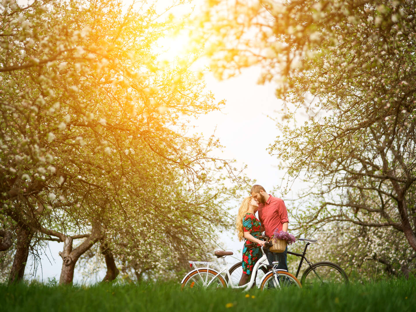 Fahrradurlaub am Plauer See inkl. Lunchpaket & Leihfahrrad 5 Tage