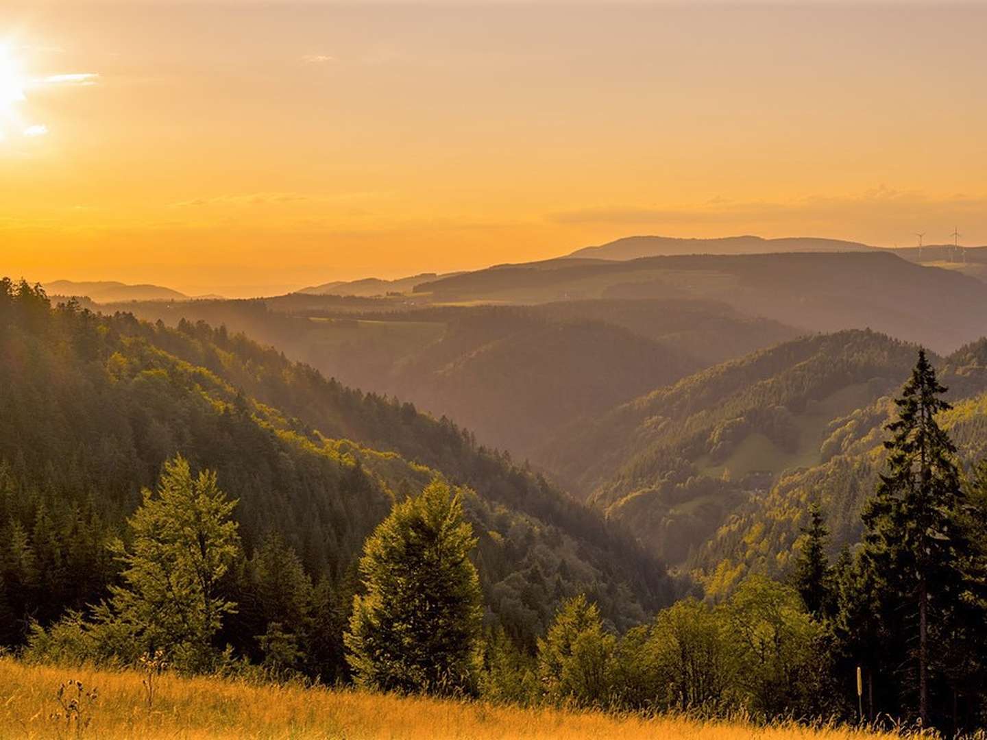 Auszeit im Schwarzwald mit Fondue-Abend