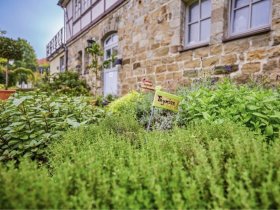 Gourmetwochenende im Teutoburger Wald