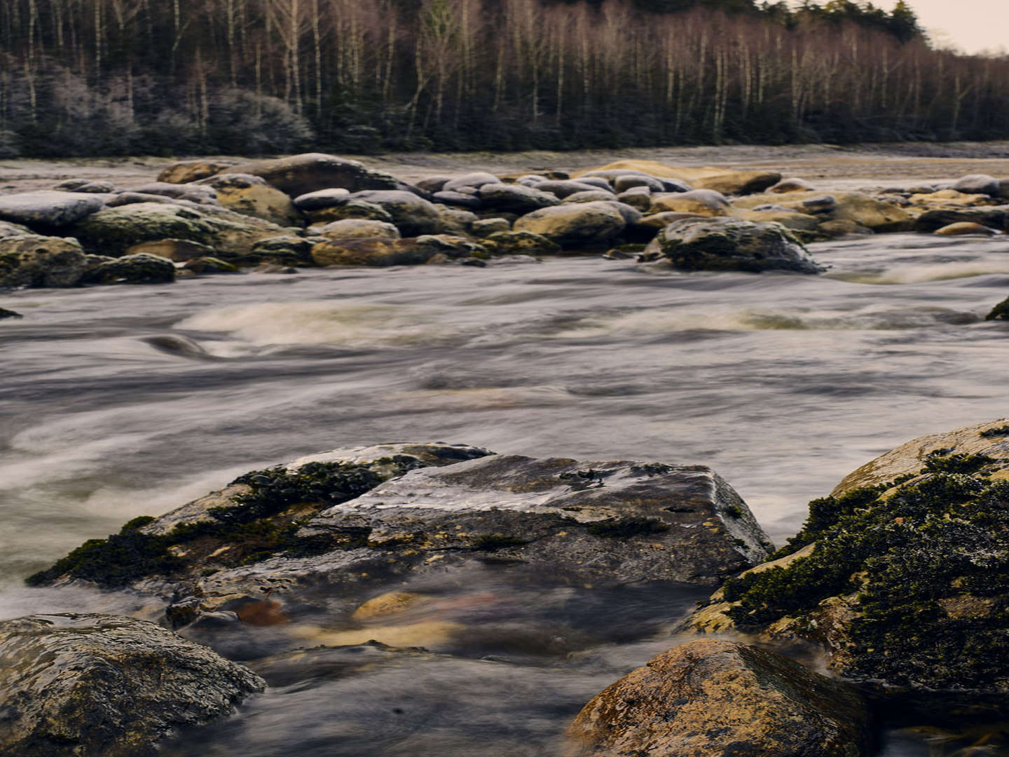 Wasser, Wald und Wild im bayerischen Wald