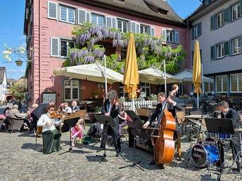 Aktivurlaub im Löwen im Breisgau