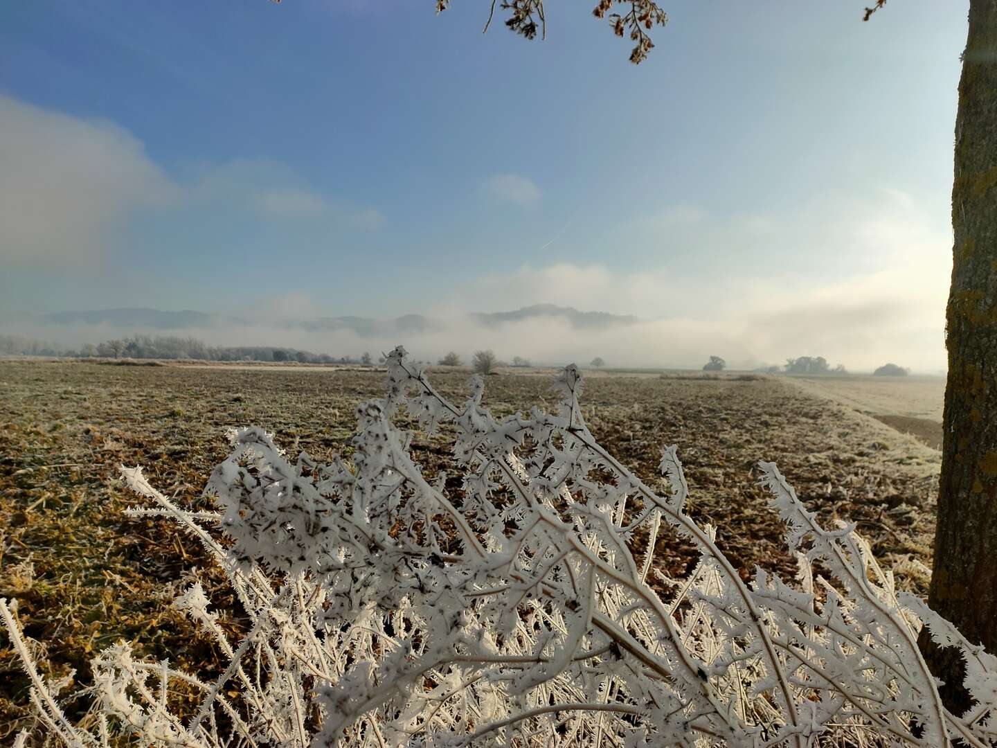 Winterzauber im Löwen im Breisgau