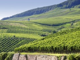 Sonnige Ferientage - 4 Tage im schönen Nahetal inkl. HP