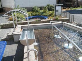 3 Tage Winterwandern im Spessart inkl. 1 x Lunchpaket